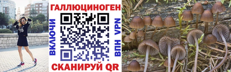 мориарти состав  Скопин  Псилоцибиновые грибы GOLDEN TEACHER 